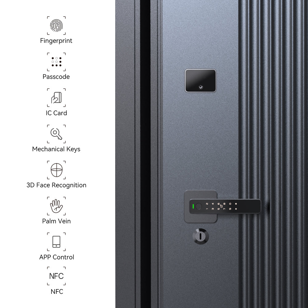 Tenon MK Smart Door